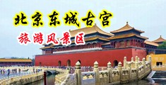 日韩美女操逼黄色片视频播放中国北京-东城古宫旅游风景区